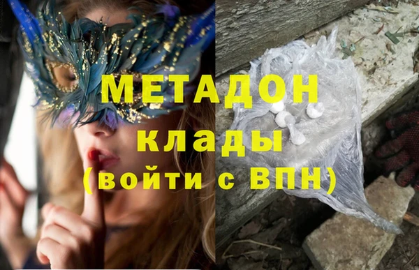 прущие грибы Коряжма