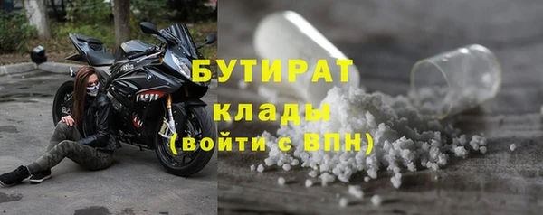 прущие грибы Коряжма