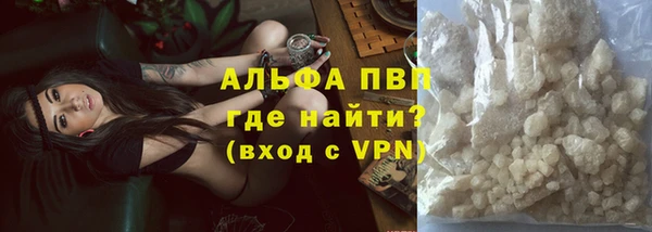 прущие грибы Коряжма