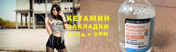 прущие грибы Коряжма