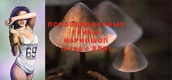 a pvp Костерёво