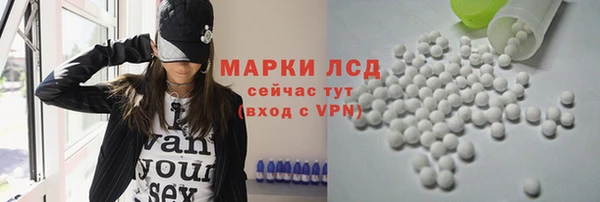 прущие грибы Коряжма