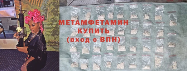 прущие грибы Коряжма