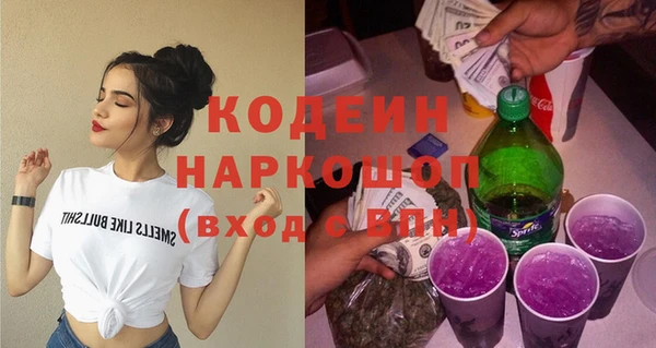 прущие грибы Коряжма