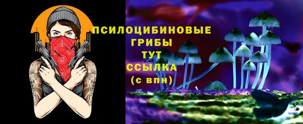 прущие грибы Коряжма