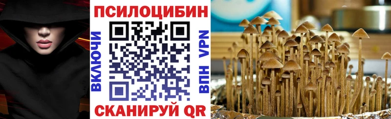 купить сайты Нефтеюганск Псилоцибиновые грибы Psilocybine cubensis